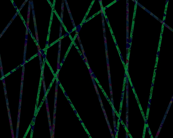 Neon Lines by Millie R Lissow