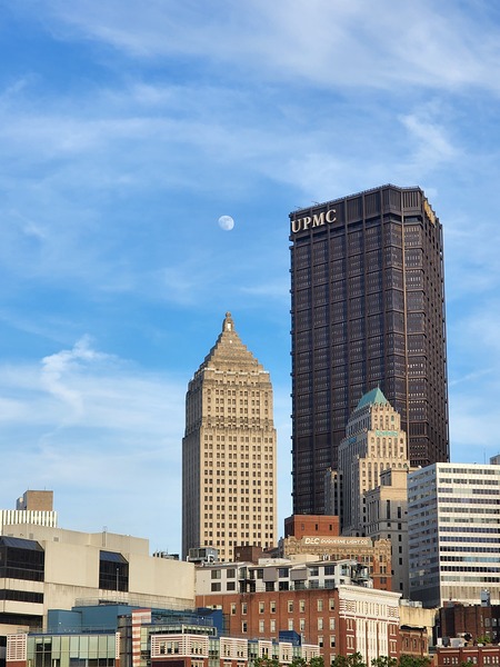 Downtown View - Focused by Millie R Lissow