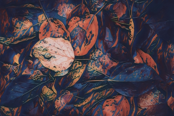 Fall Leaves by Millie R Lissow