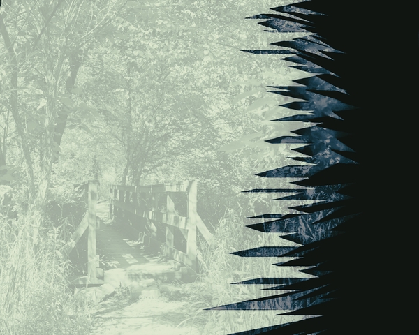 Jagged Edges by Millie R Lissow