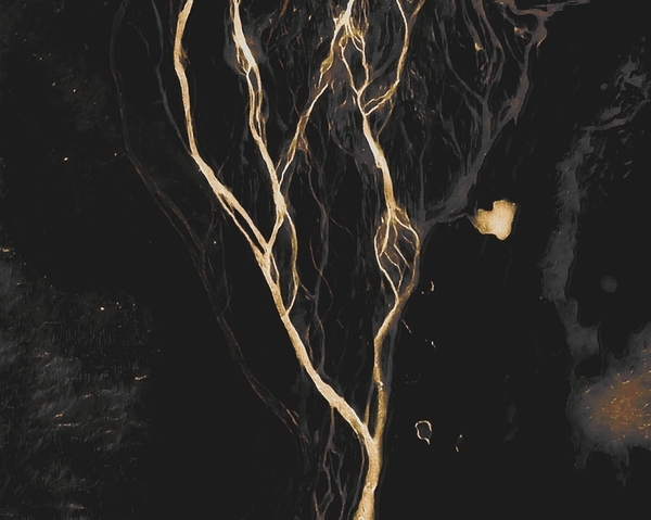 Gold Vein by Millie R Lissow