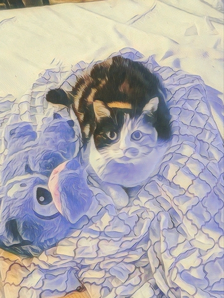 Little Moments by Millie R Lissow