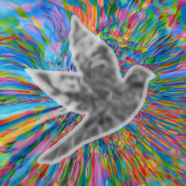 oculorum caligo Print