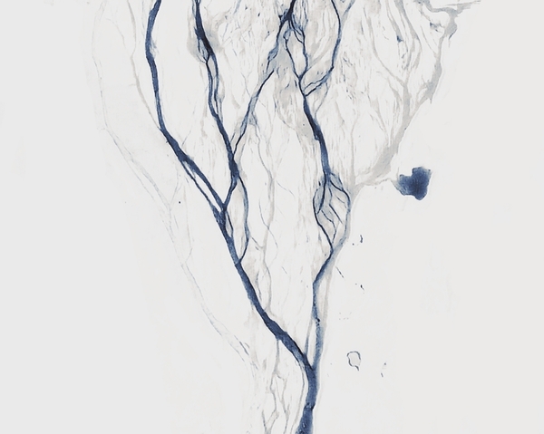 River Vein by Millie R Lissow