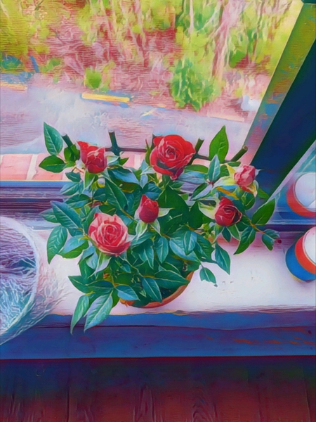 Roses in window Digital Download