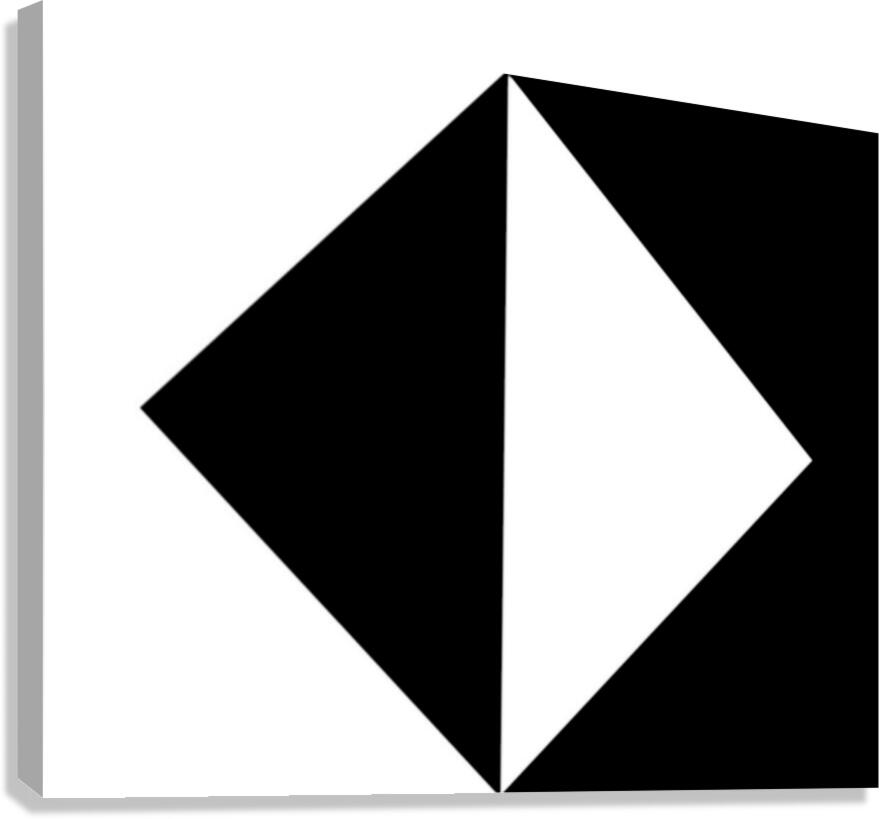 Shadowed contrast Canvas Print