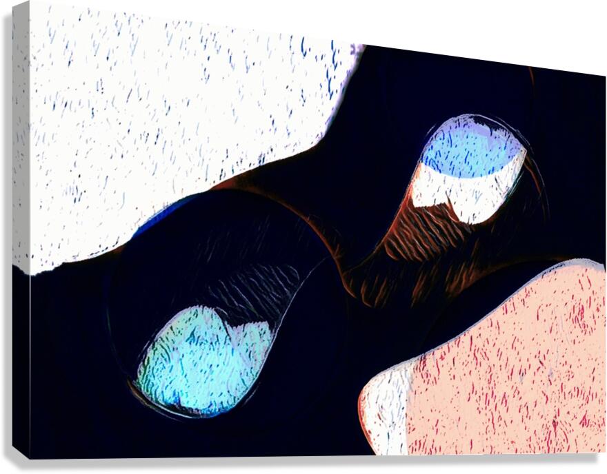 Seperation Canvas Print