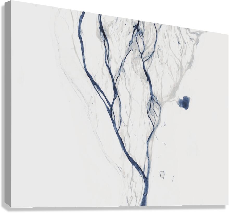 River Vein Canvas Print