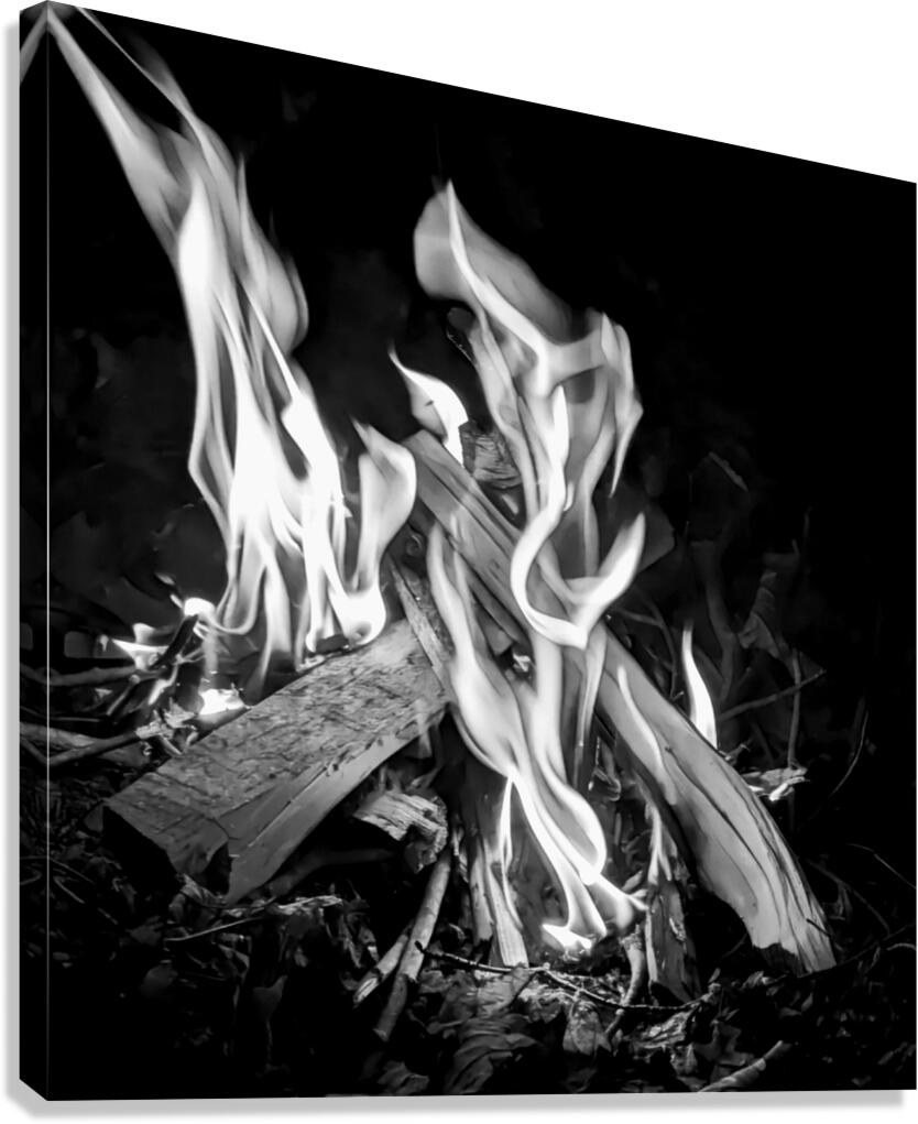 Silver Embers Canvas Print