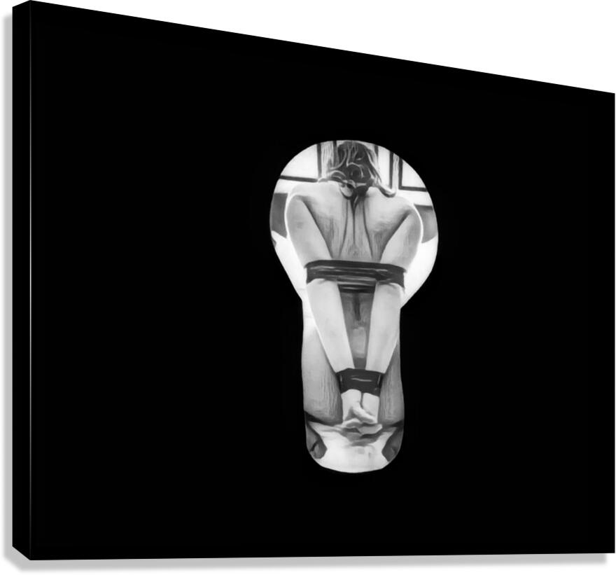 Keyhole View  Canvas Print