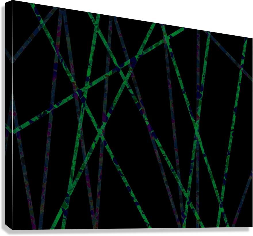 Neon Lines Canvas Print