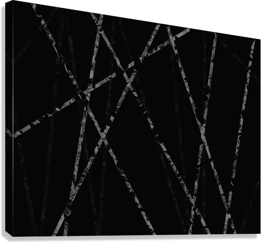 White Lines Canvas Print