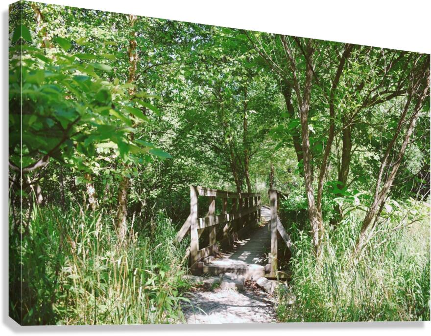 Trail Bridge - 9 Mile Run Canvas Print