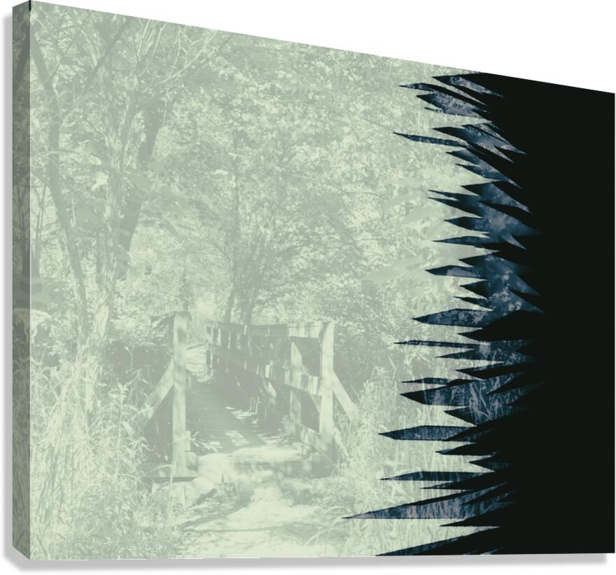 Jagged Edges Canvas Print