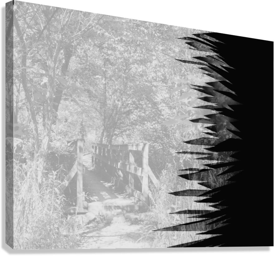 Jagged Edges B&W Canvas Print