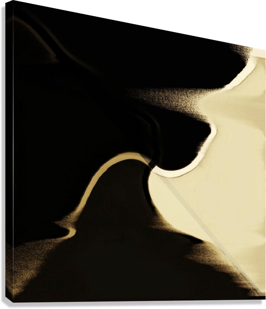Shadows In Motion Canvas Print