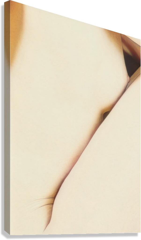 Sensual Lines Canvas Print