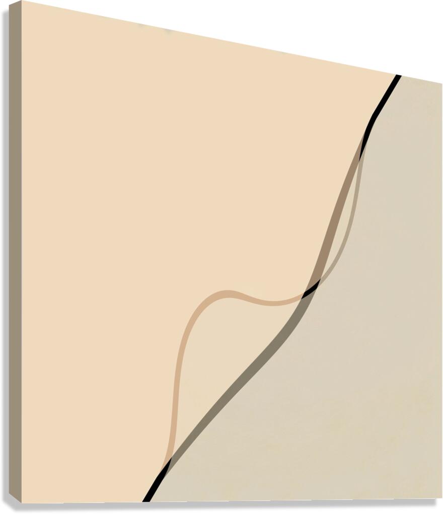 Caramel Shadow Canvas Print