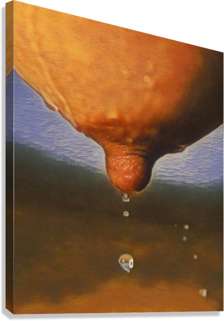 Nipple Drip Canvas Print