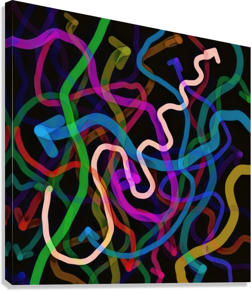 Pathways Canvas Print
