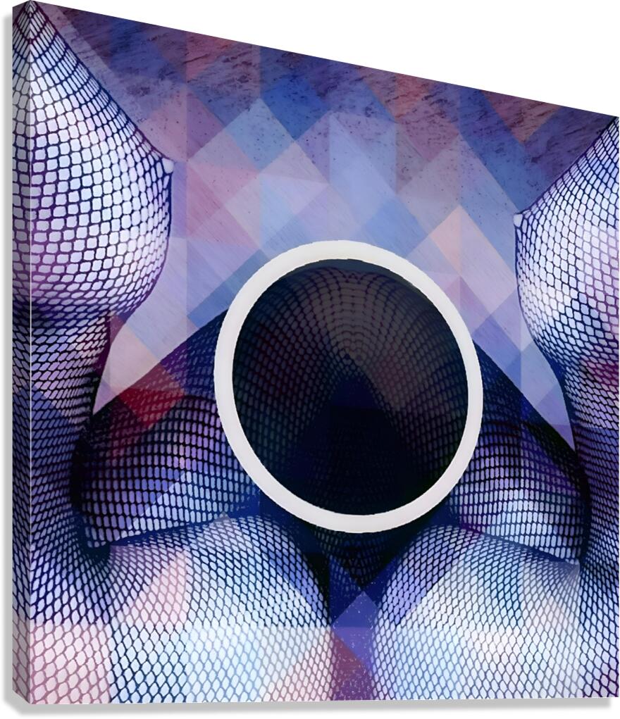 Veiled Seduction Canvas Print