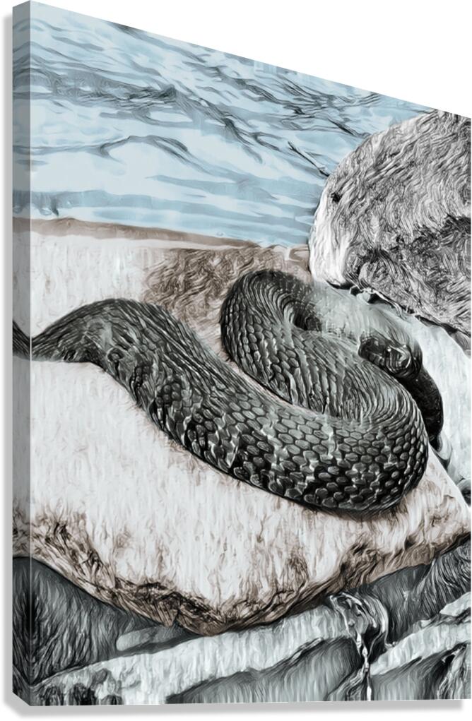 Water Snake Canvas Print