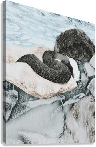 Water Snake - Outer View Canvas Print
