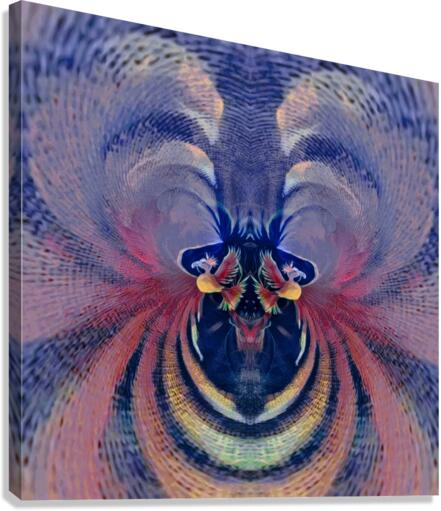 Rainbow Wind Canvas Print