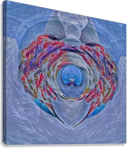 Guarded Heart Canvas Print