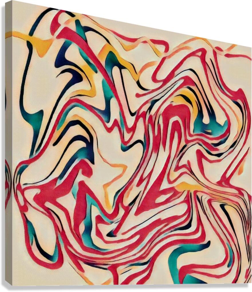 Tangled Lines Canvas Print