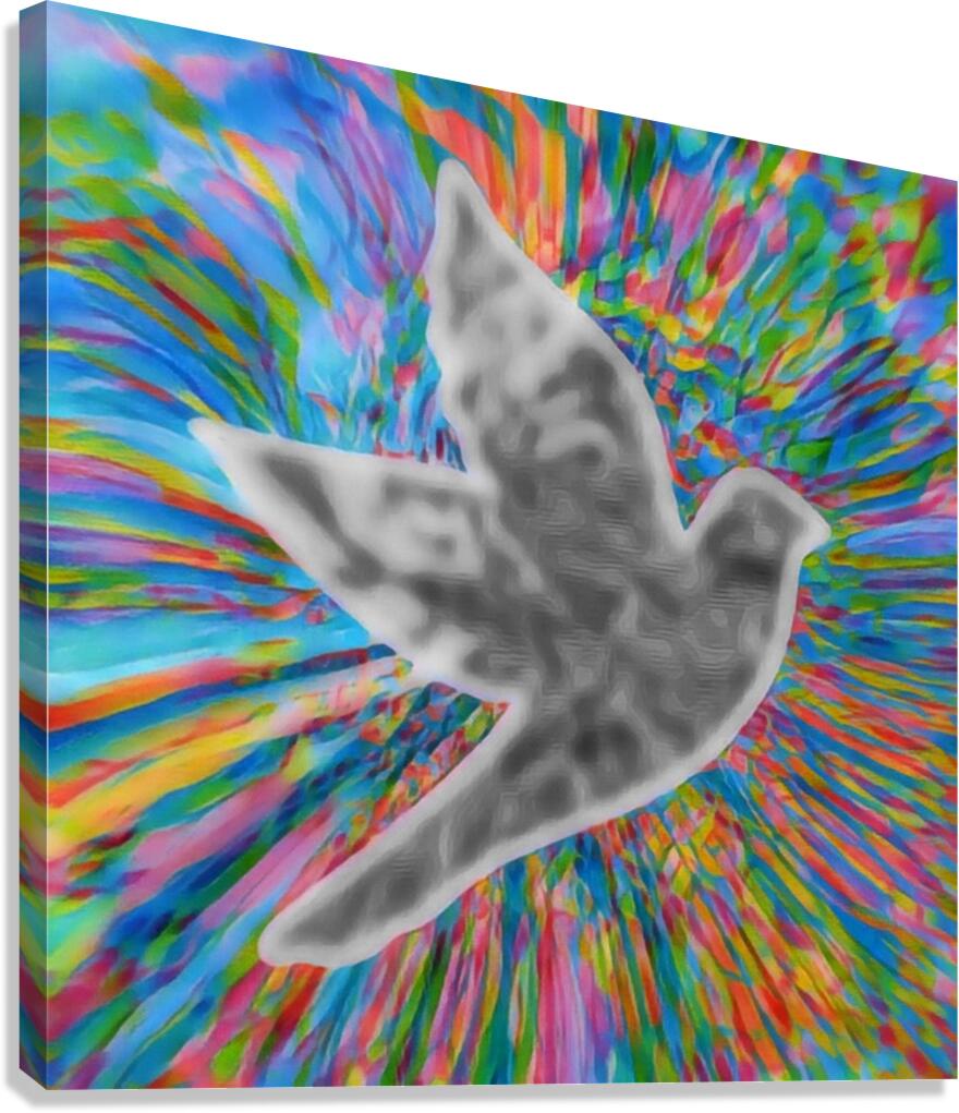 oculorum caligo Canvas Print