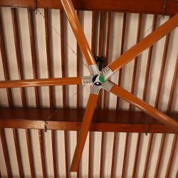 Abstract Ceiling