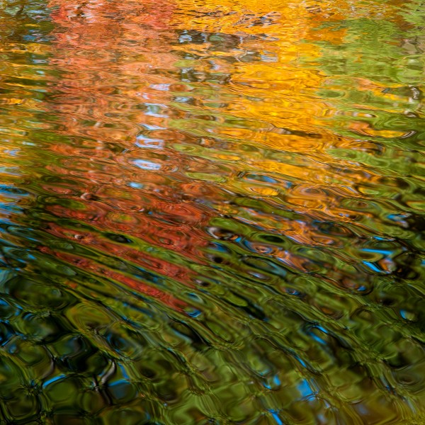 Water Palette I Print