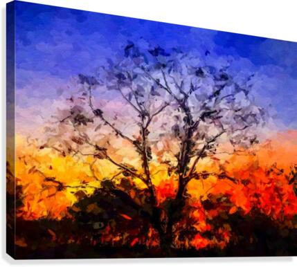 Sunrise Silhouette  Canvas Print