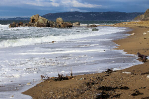 Anse aux Loups-Marins