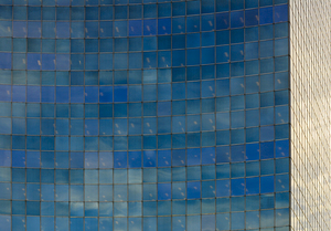 Aquatiles