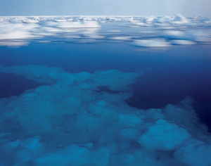 Arctic Blue