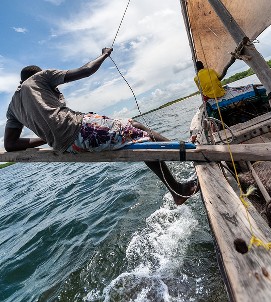 Dhow navigator Print