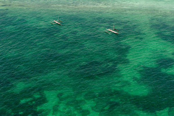 Beautiful green Print