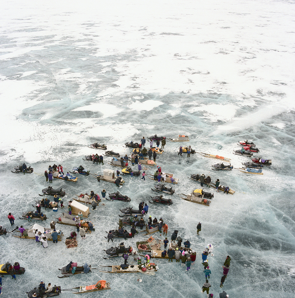 Arctic Picnic  Print