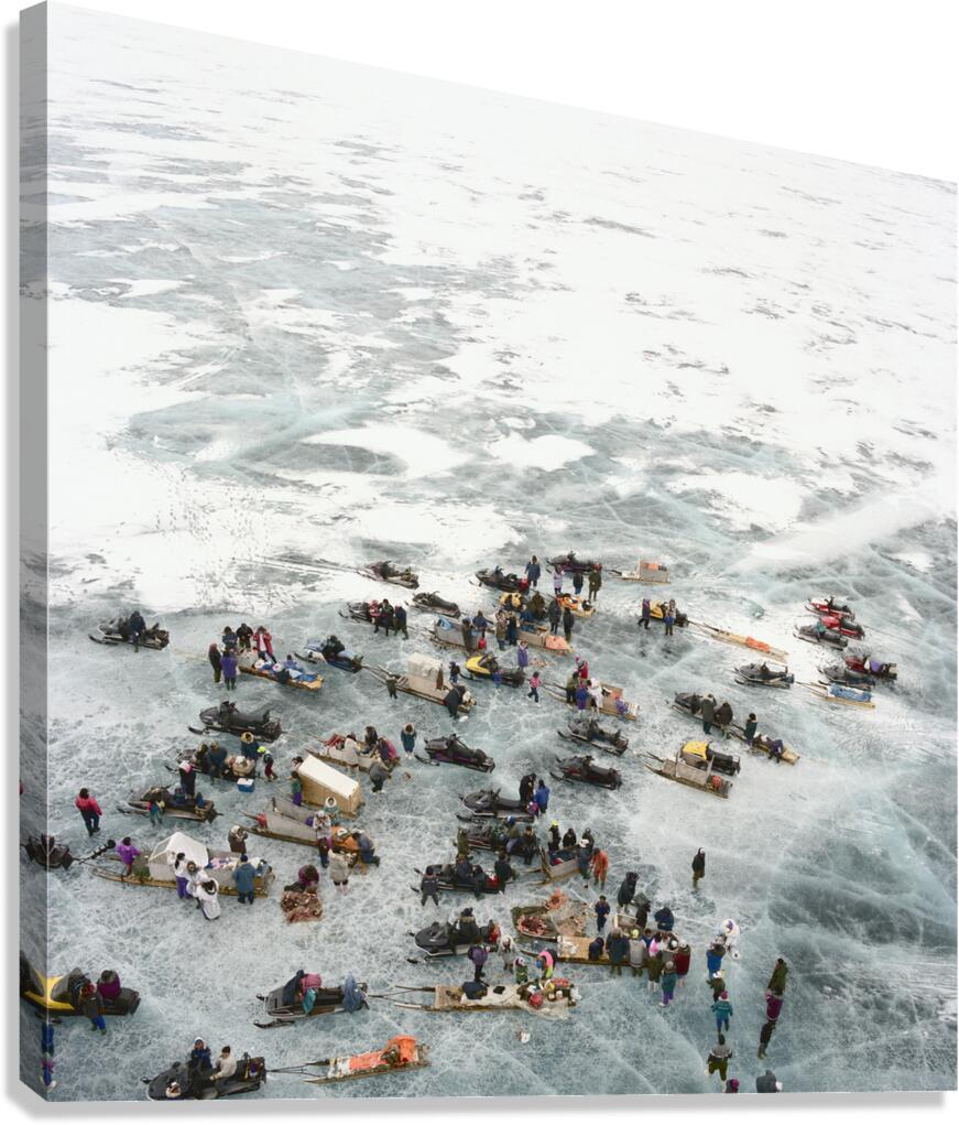 Arctic Picnic  Canvas Print