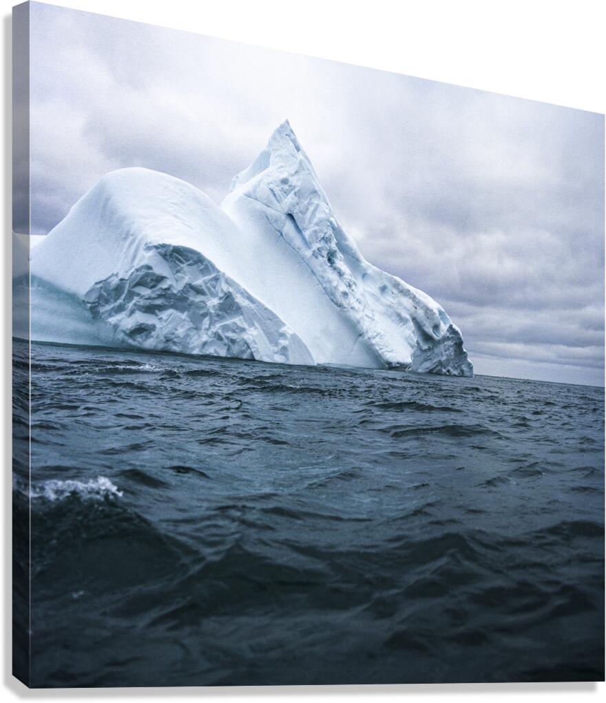 Arctic Iceberg  Canvas Print