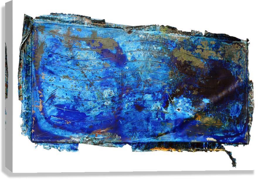 Under the Sea Canvas Print