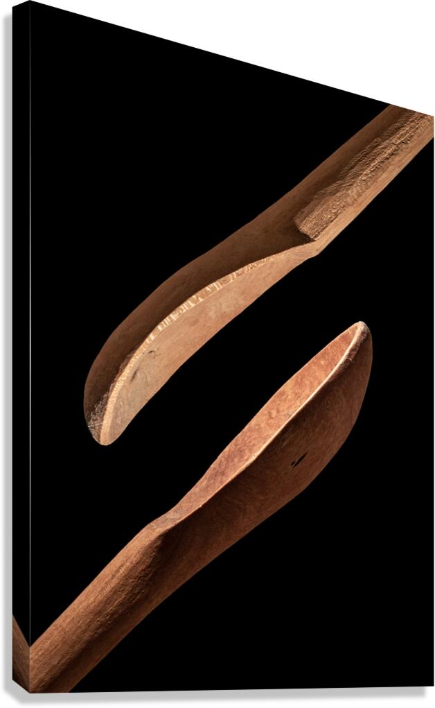 Spoons Canvas Print