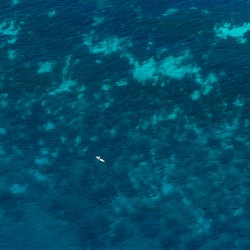 Lone Kayaker