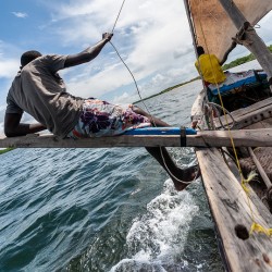 Dhow navigator