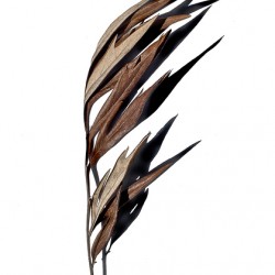 Quill