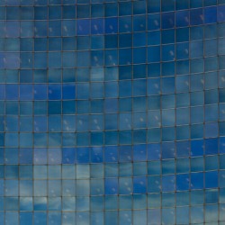 Aquatiles