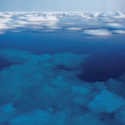 Arctic Blue