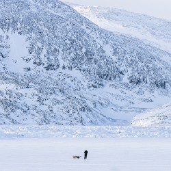 Arctic Lake